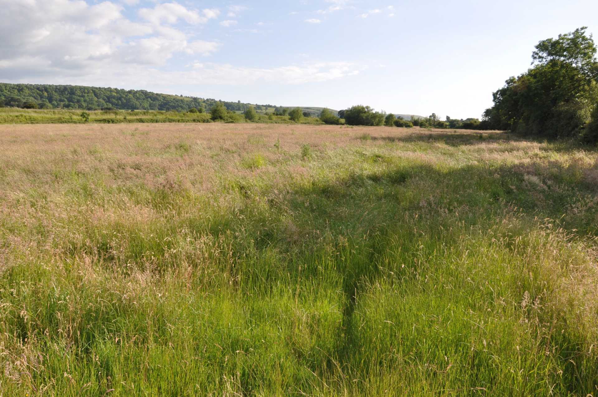 Coulston,, Westbury, Wiltshire Image 2
