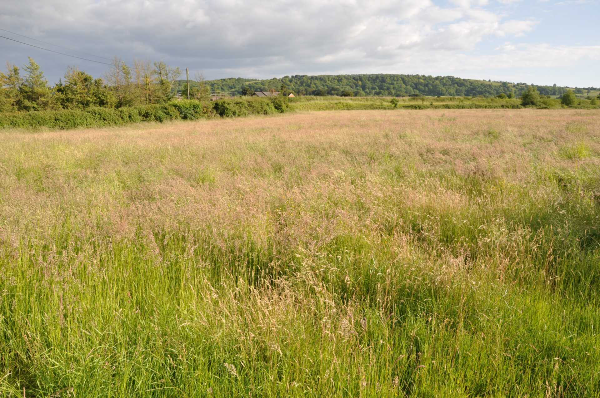 Coulston,, Westbury, Wiltshire Image 3
