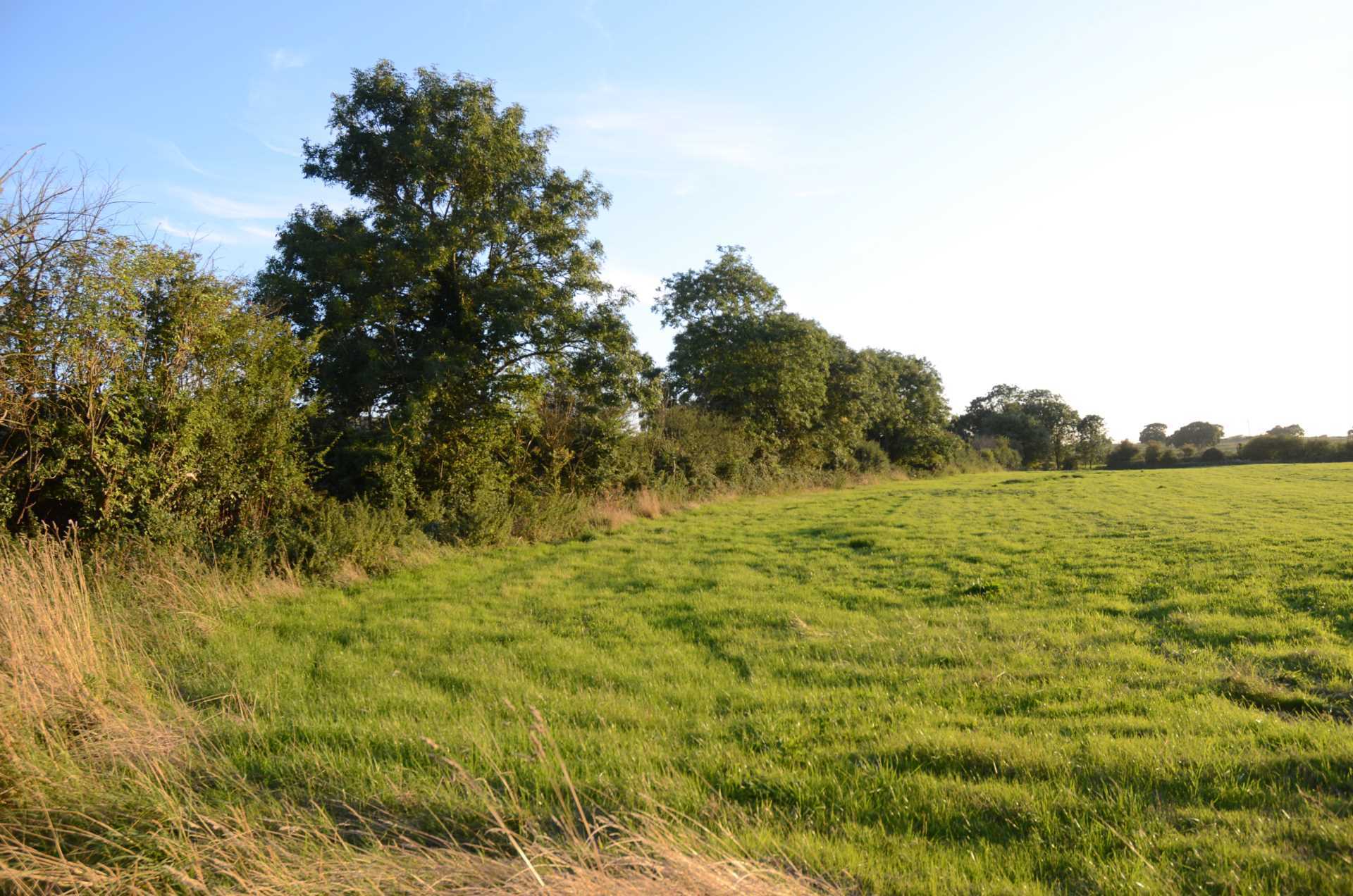 Coulston,, Westbury, Wiltshire Image 3