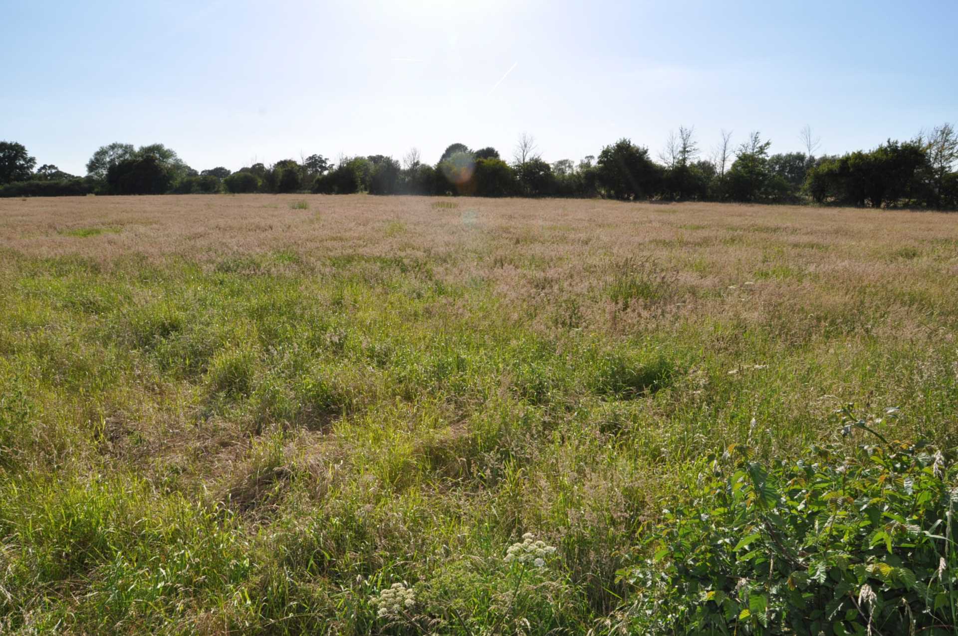 Coulston,, Westbury, Wiltshire Image 3