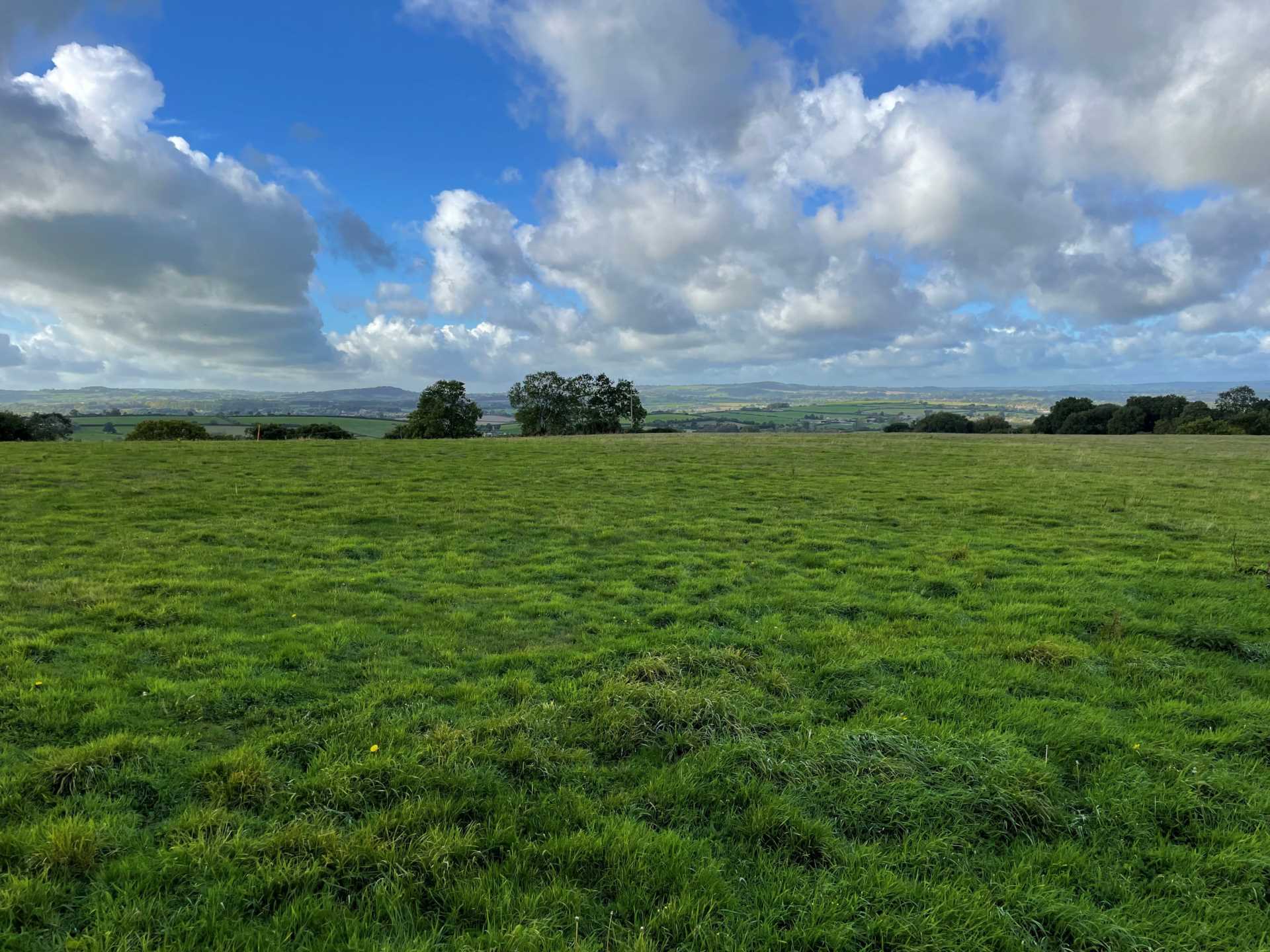 Building Plot, East Chinnock, Somerset Image 6