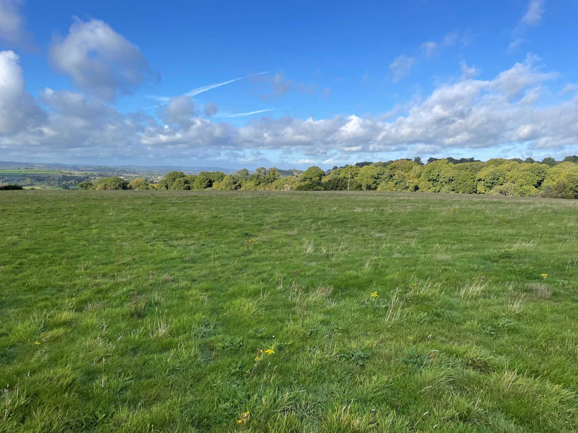 Building Plot, East Chinnock, Somerset Image 11