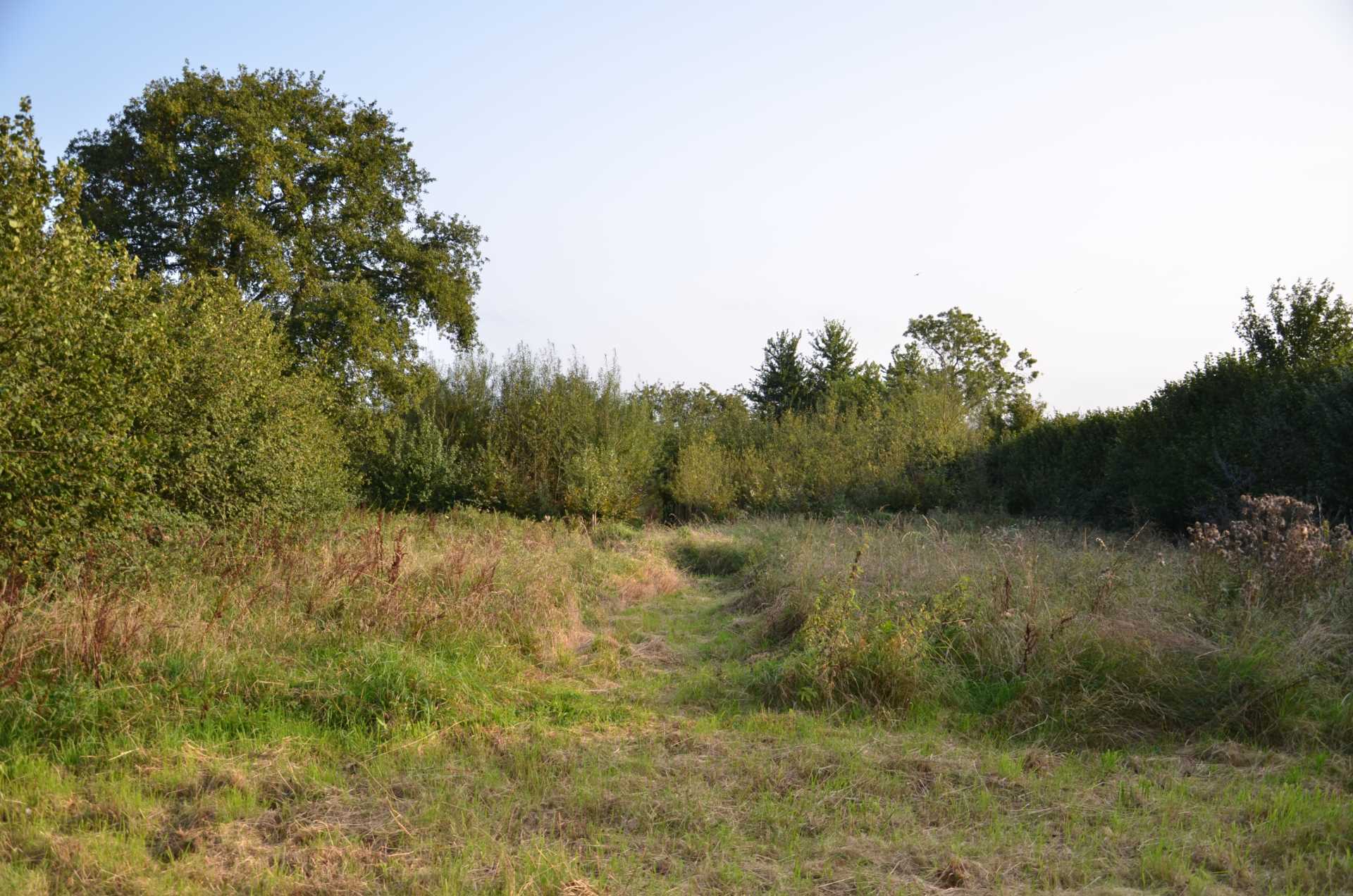 The Doctor`s Orchard Image 1