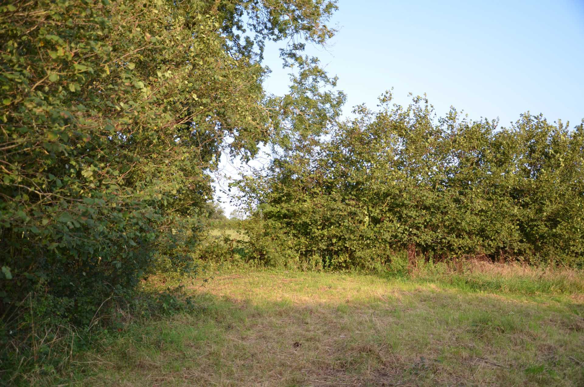 The Doctor`s Orchard Image 2