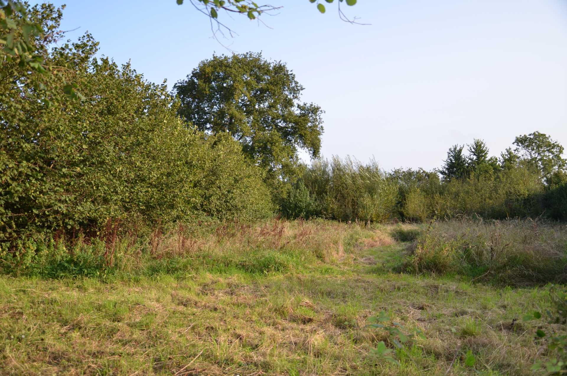 The Doctor`s Orchard Image 3