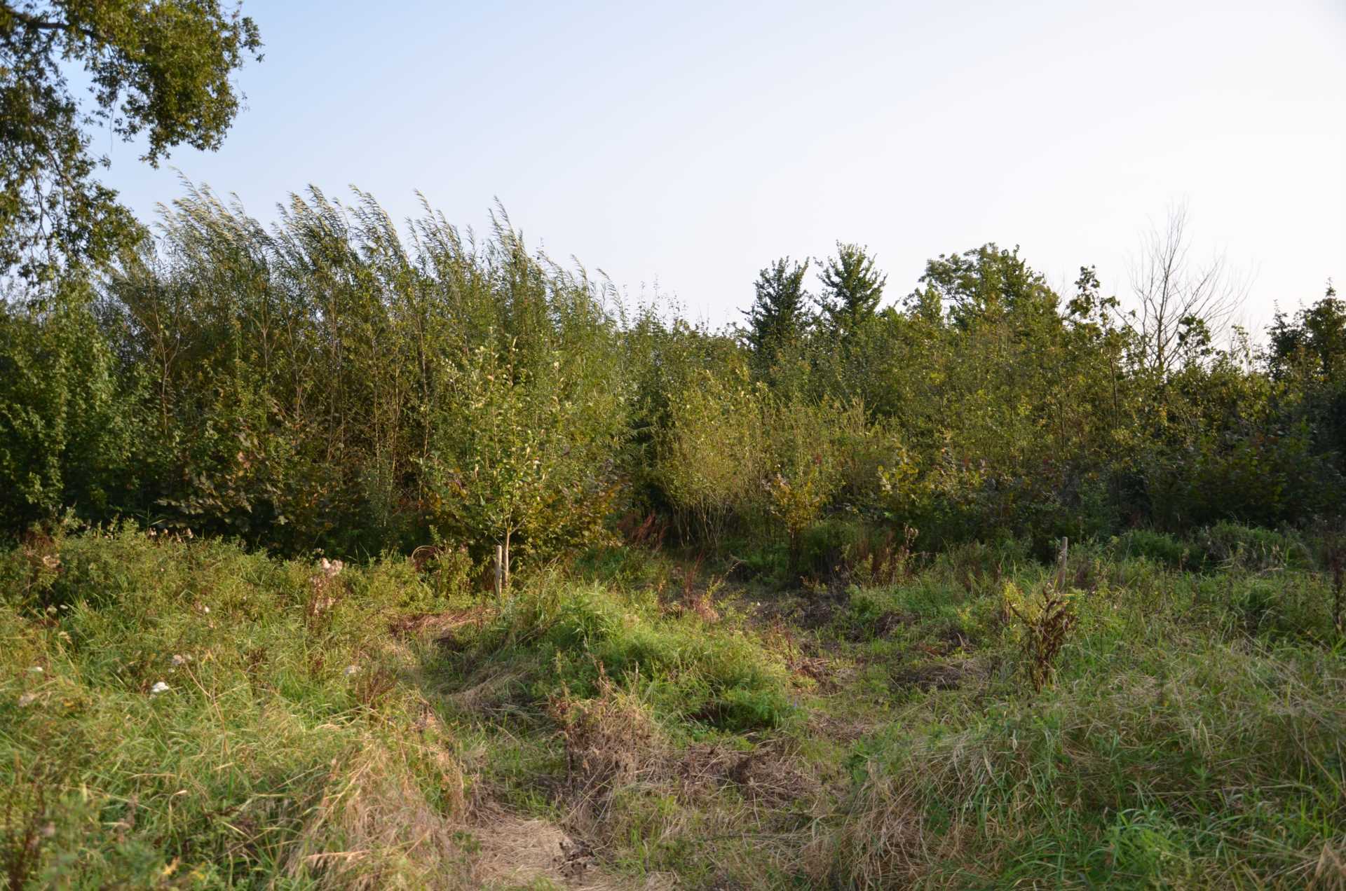 The Doctor`s Orchard Image 4