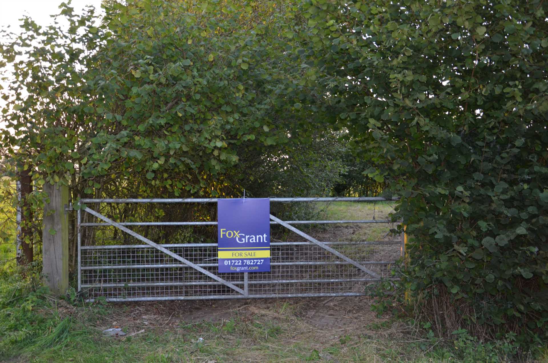 The Doctor`s Orchard Image 11
