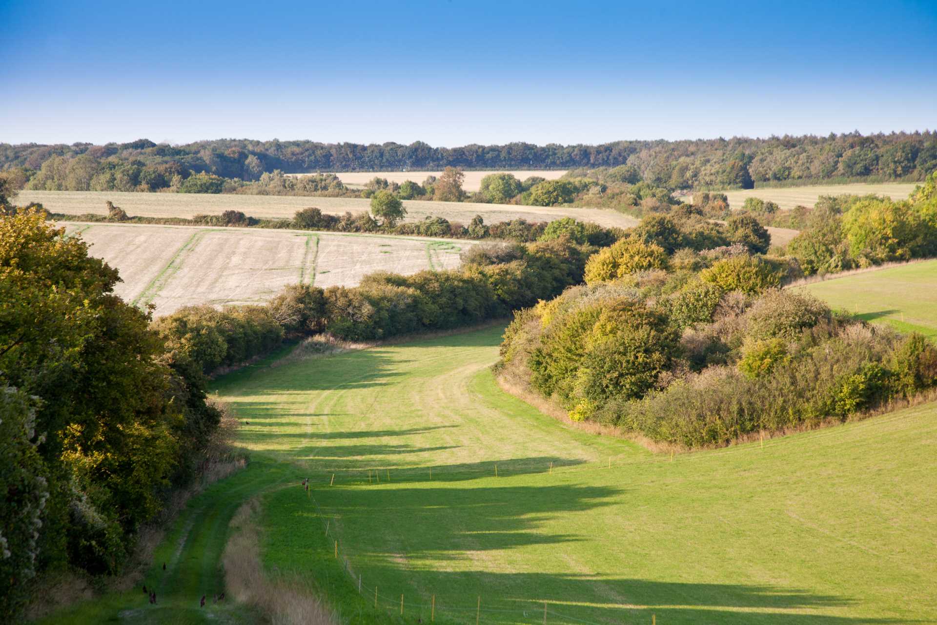 Dinton, Wiltshire Image 4