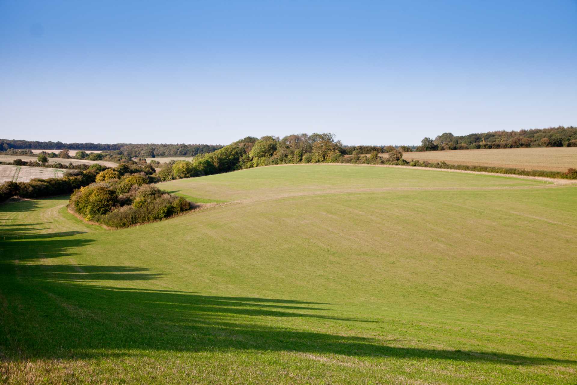 Dinton, Wiltshire Image 5