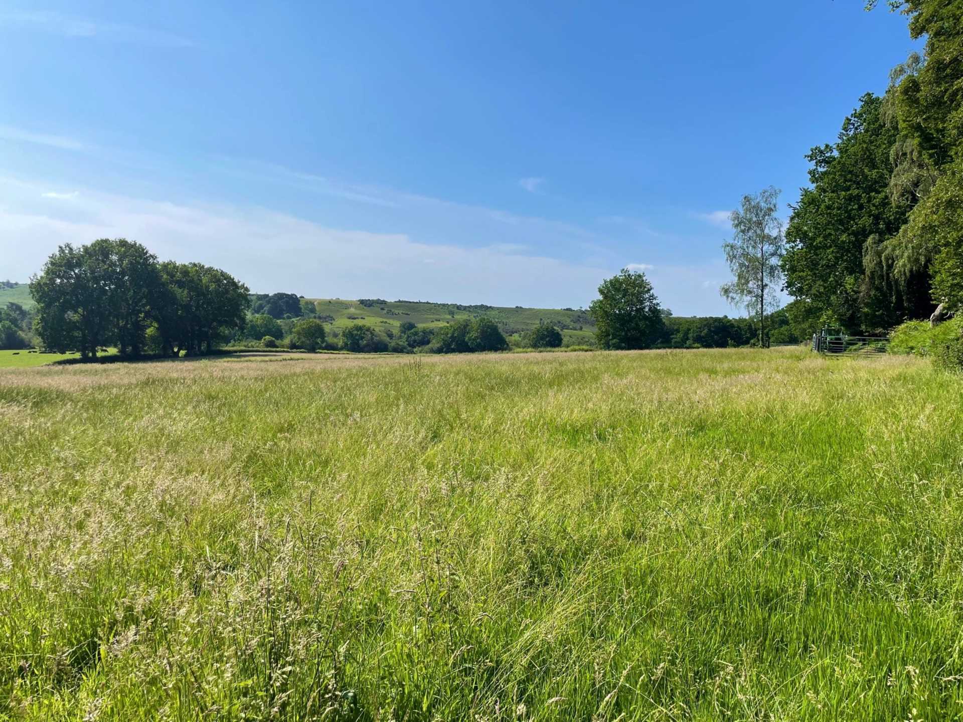 Land at Woodgreen, New Forest Image 1