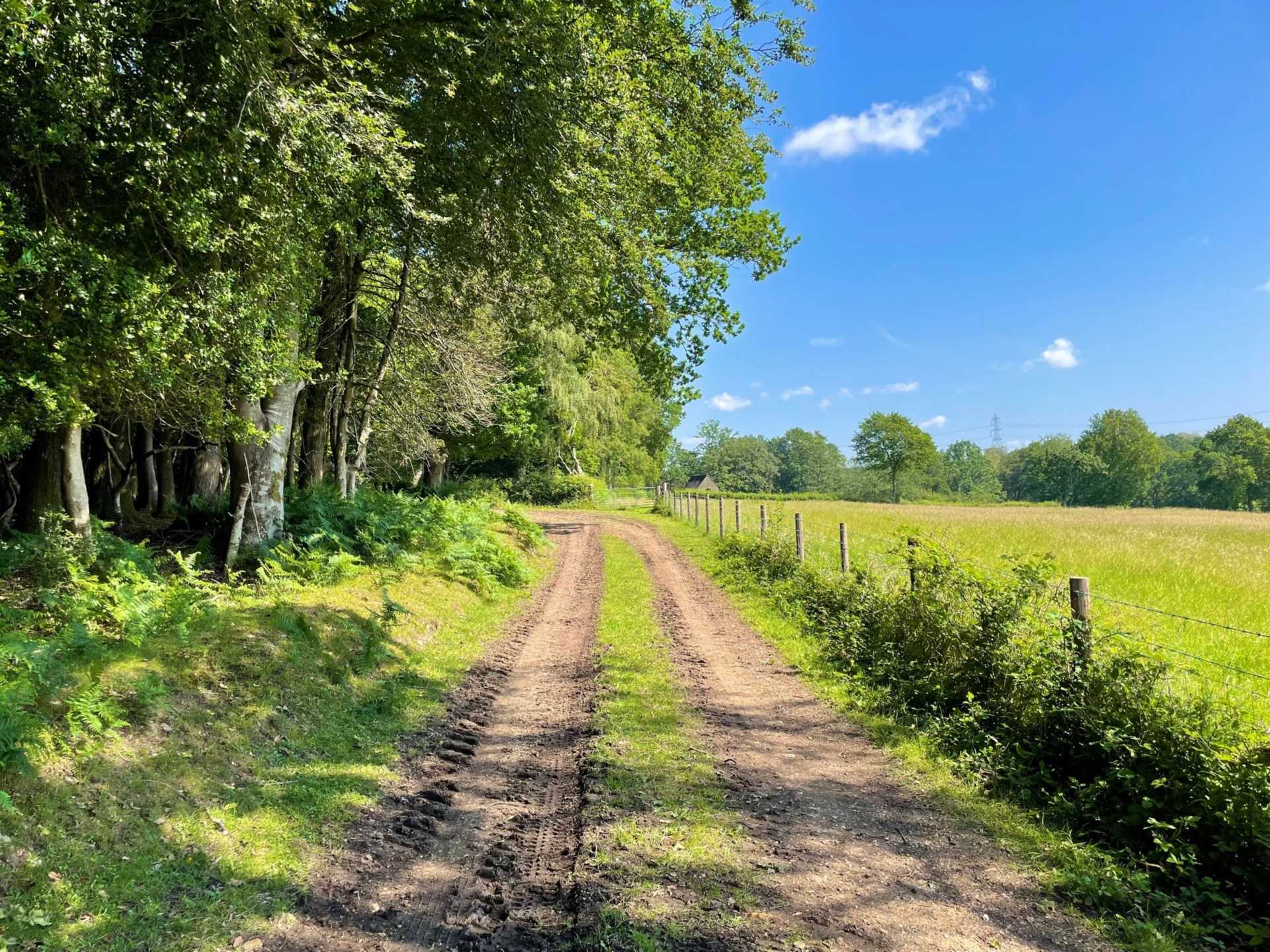 Land at Woodgreen, New Forest Image 5
