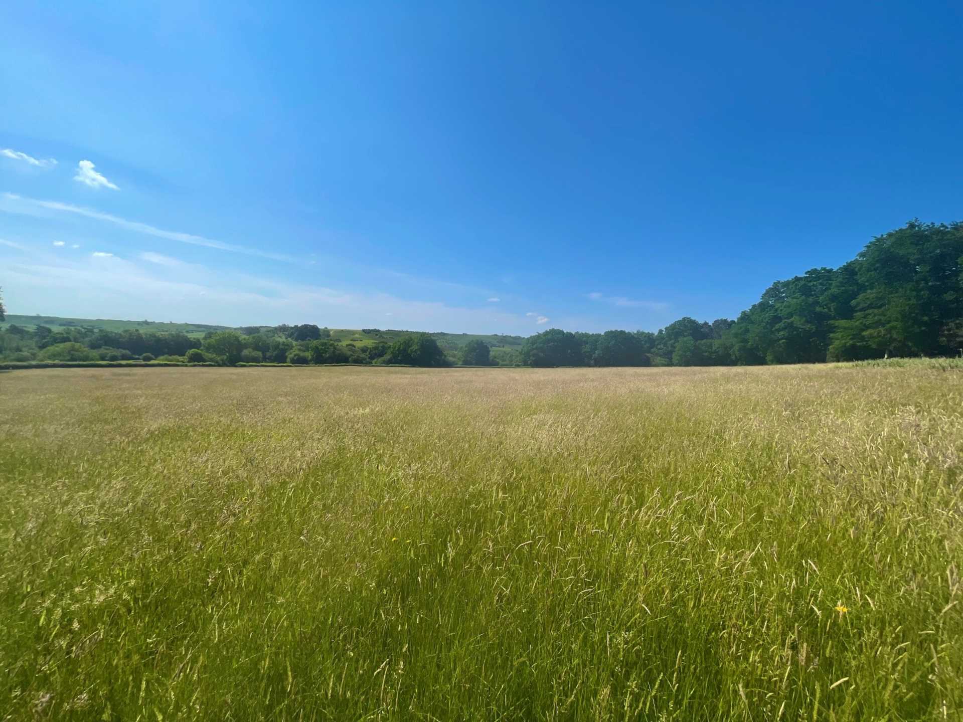 Land at Woodgreen, New Forest Image 8