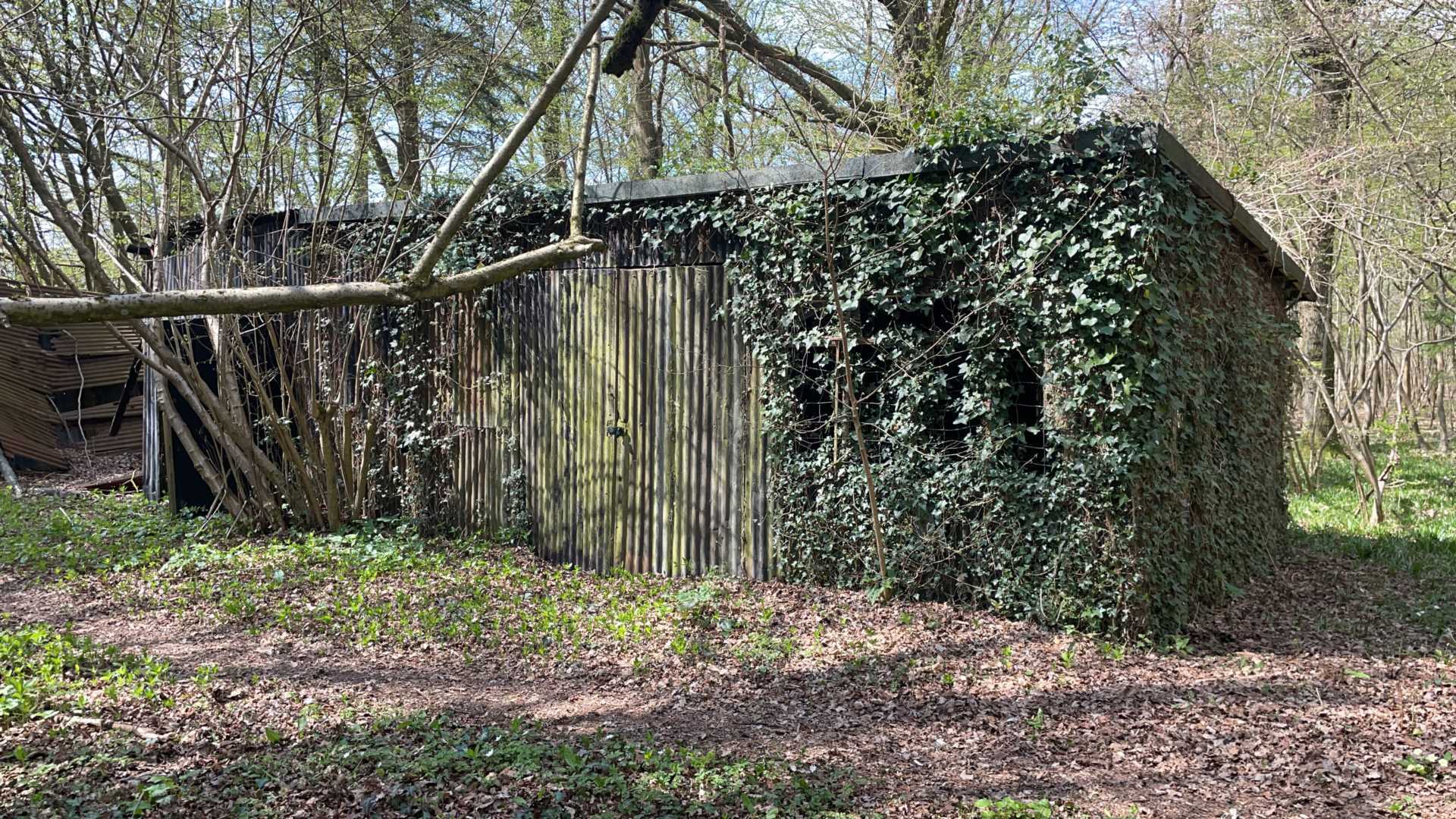 WEST GRIMSTEAD, SALISBURY, WILTSHIRE Image 6