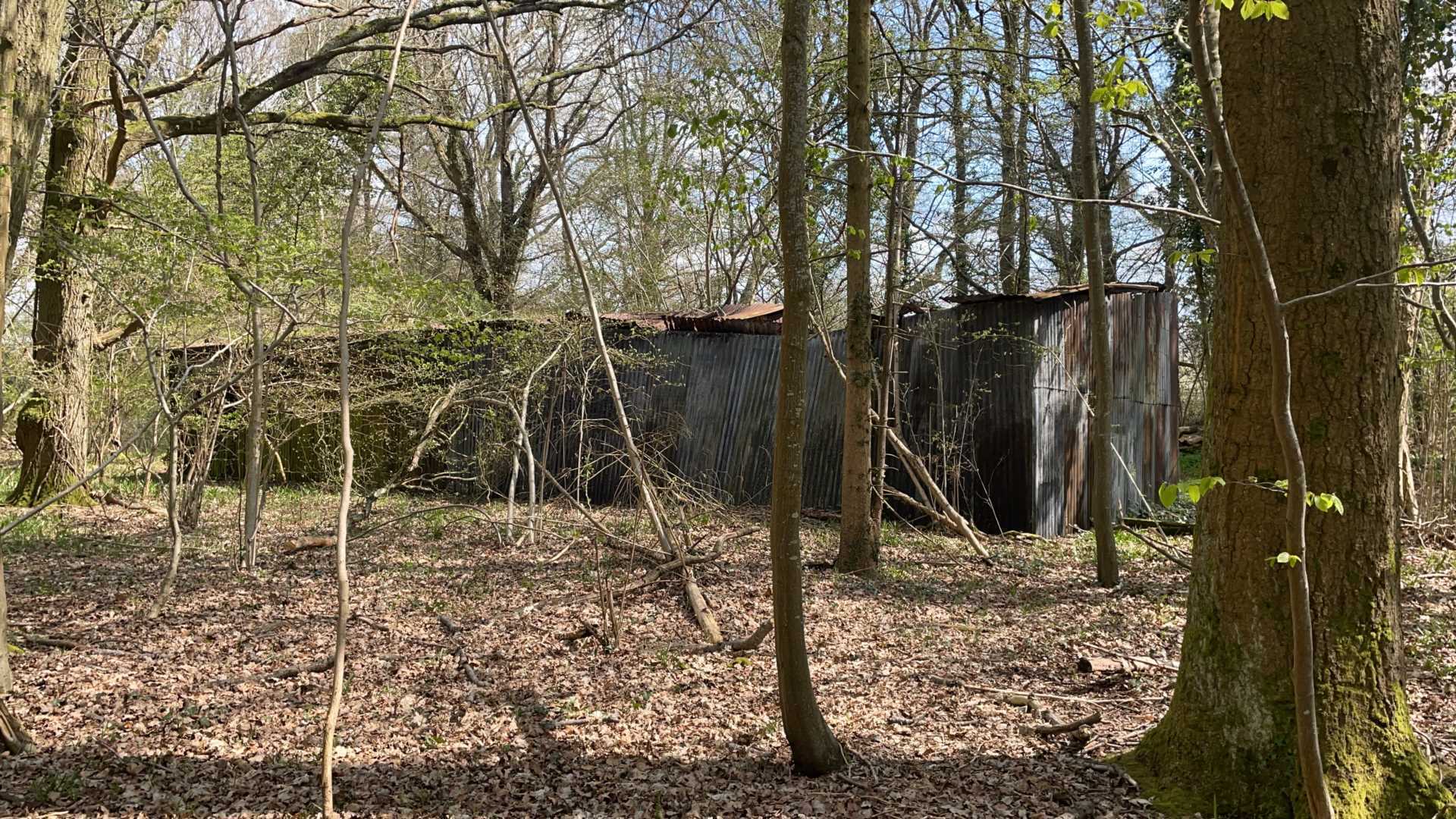 WEST GRIMSTEAD, SALISBURY, WILTSHIRE Image 9
