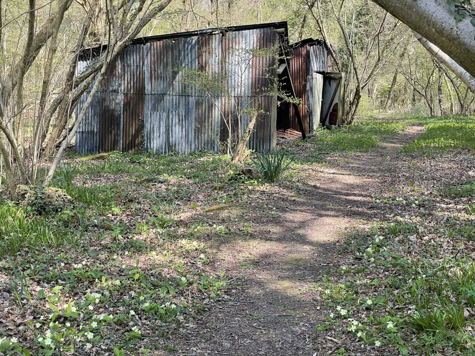 WEST GRIMSTEAD, SALISBURY, WILTSHIRE Image 10