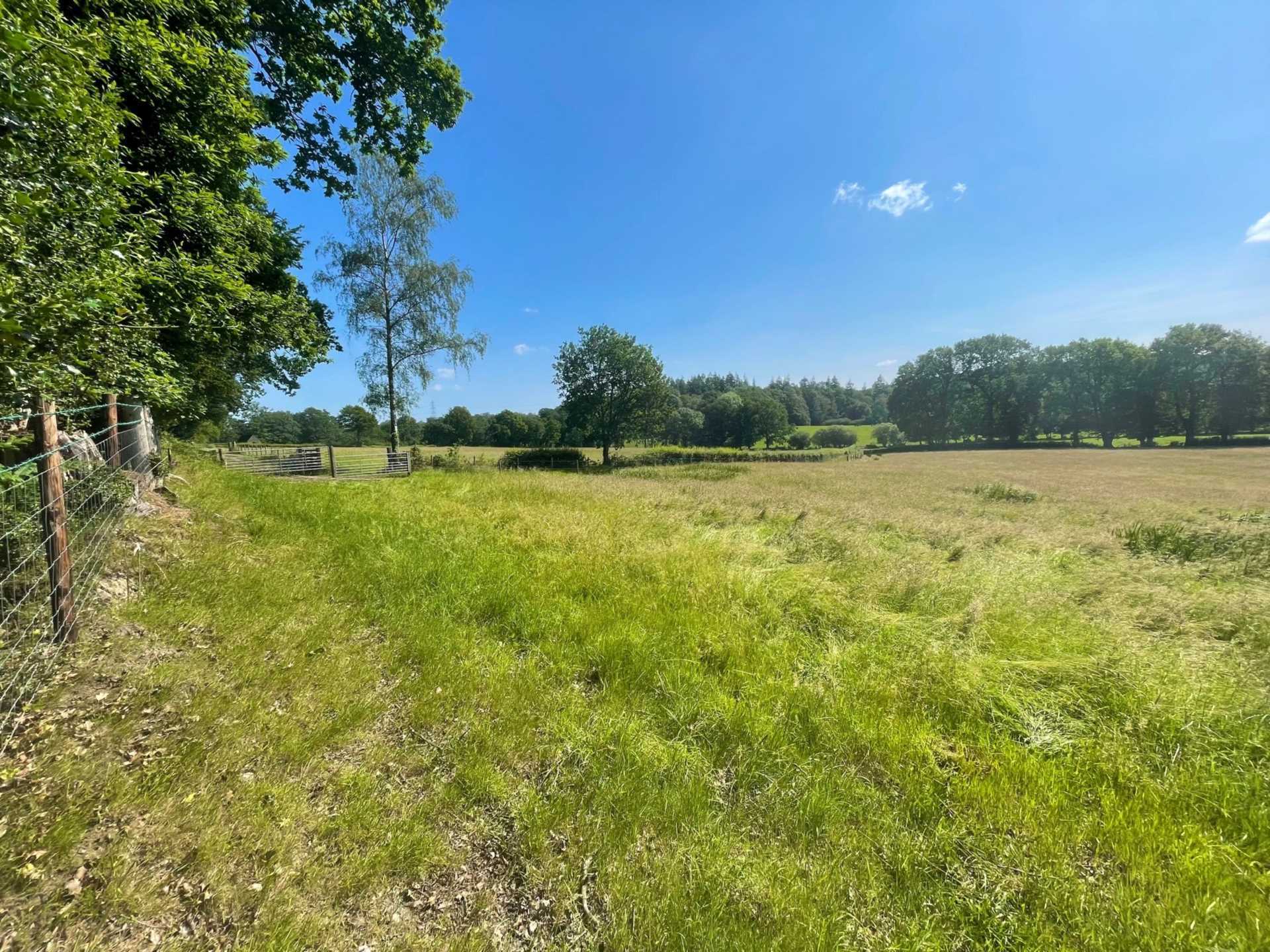 Land at Woodgreen, New Forest Image 1