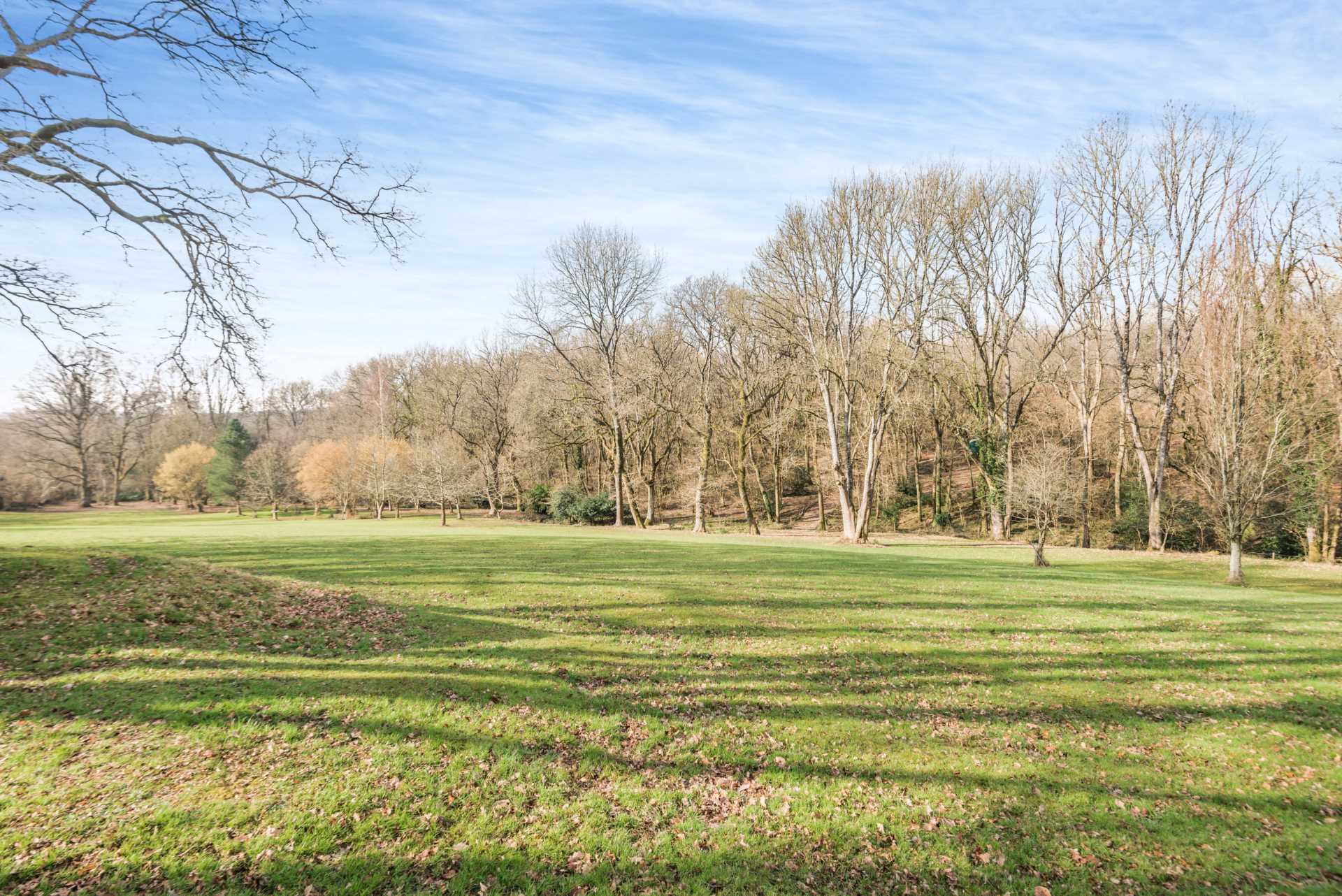 Sandleheath Image 9