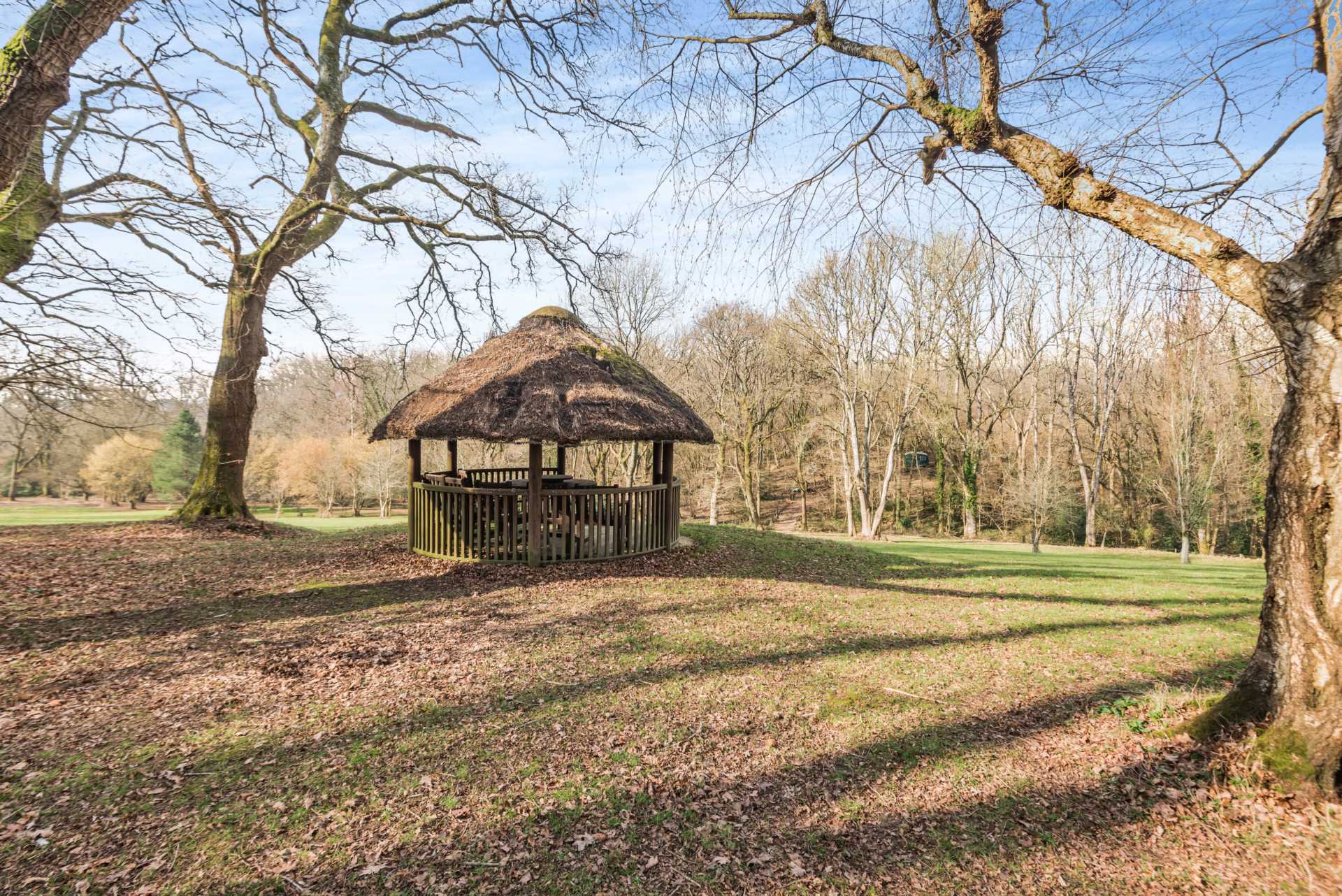 Sandleheath Image 10