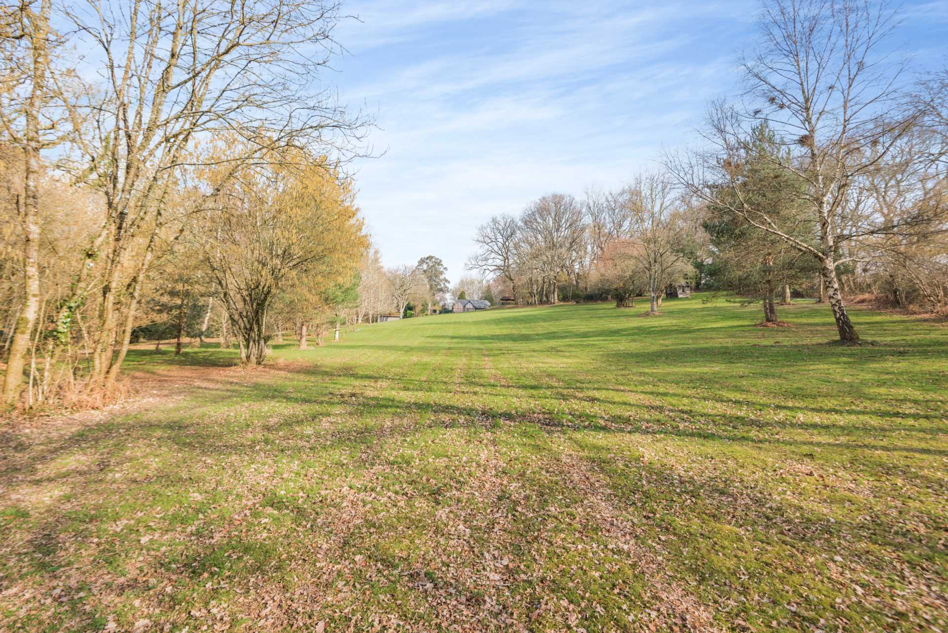 Sandleheath Image 11