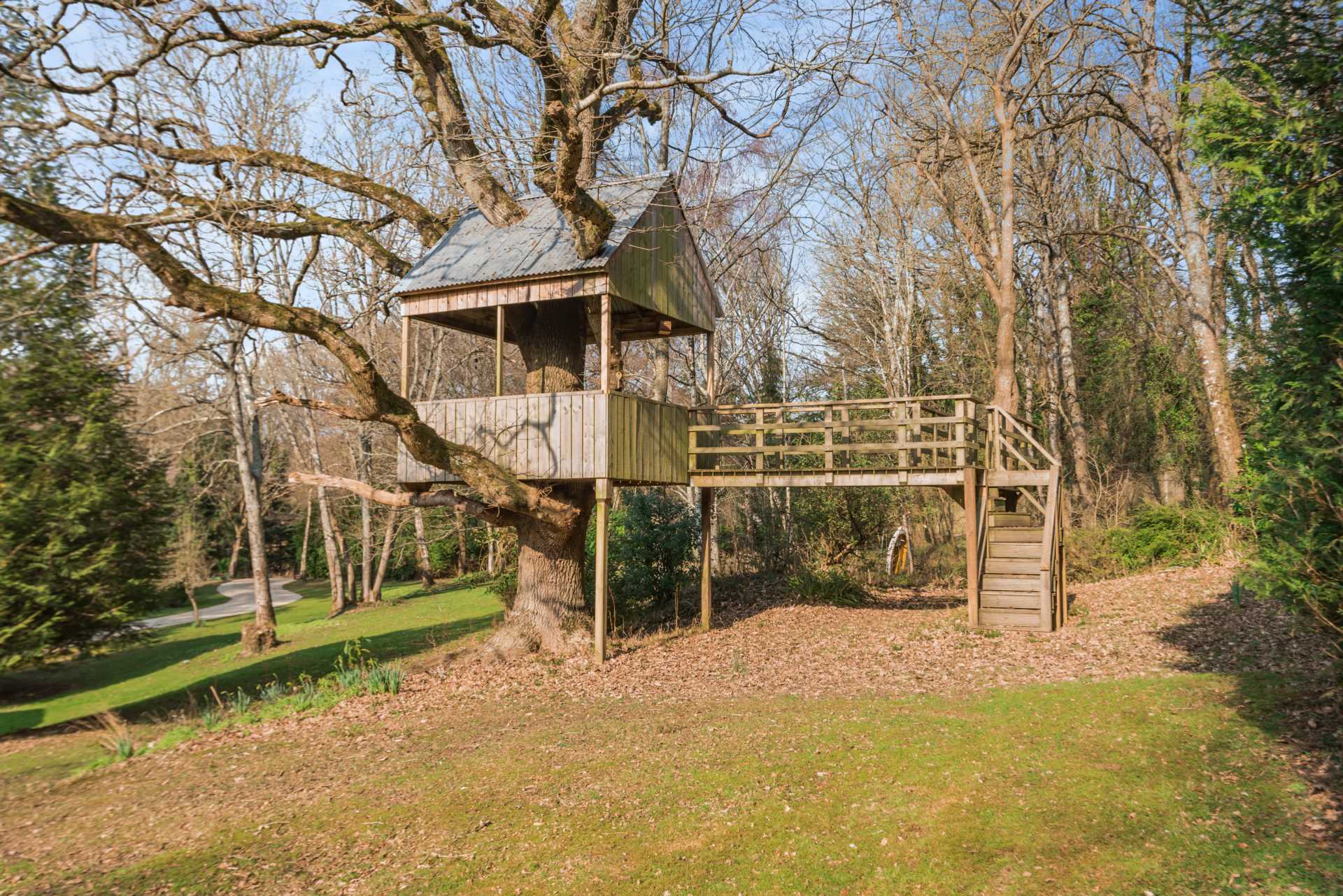 Sandleheath Image 17