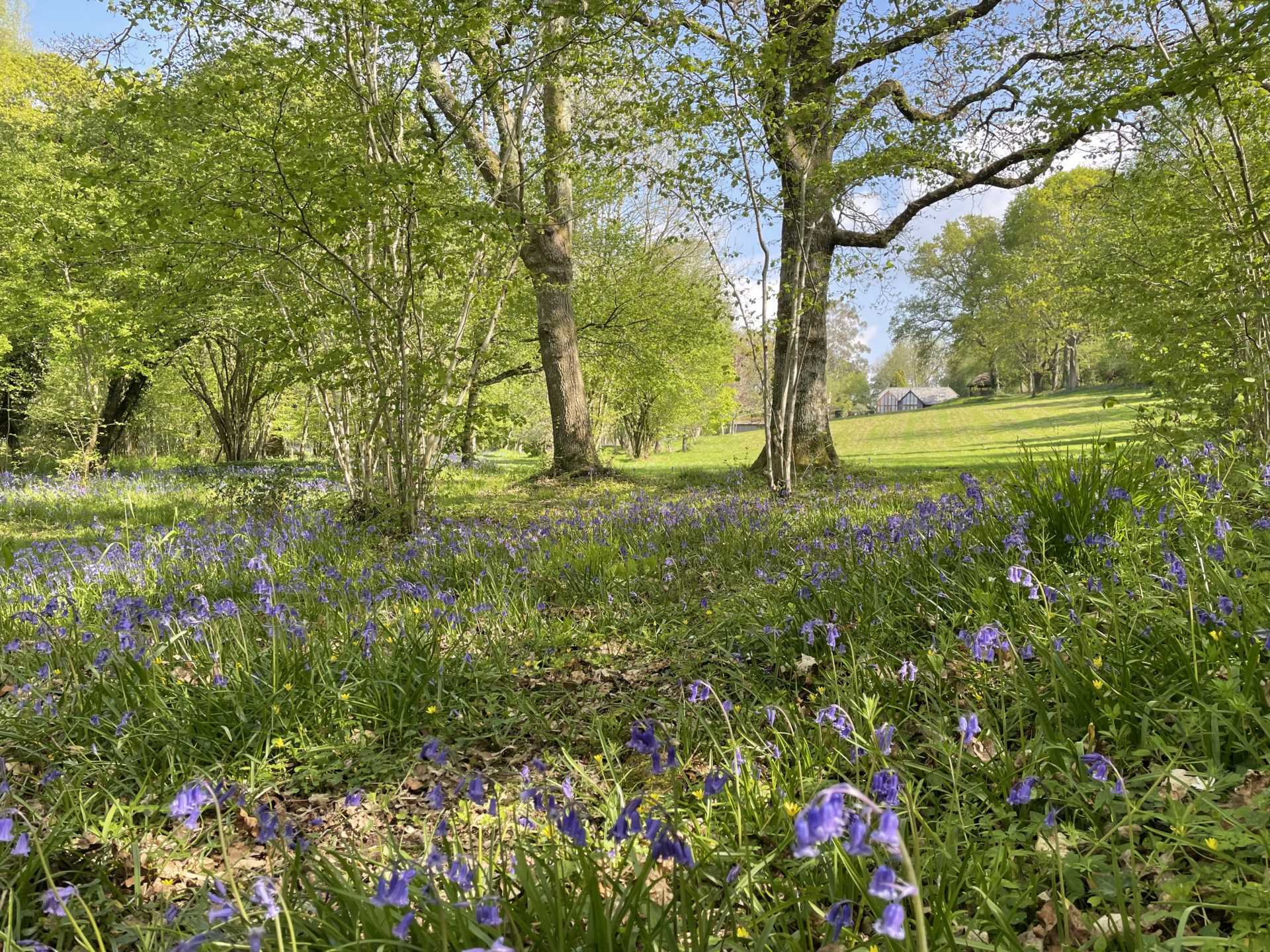 Sandleheath Image 22