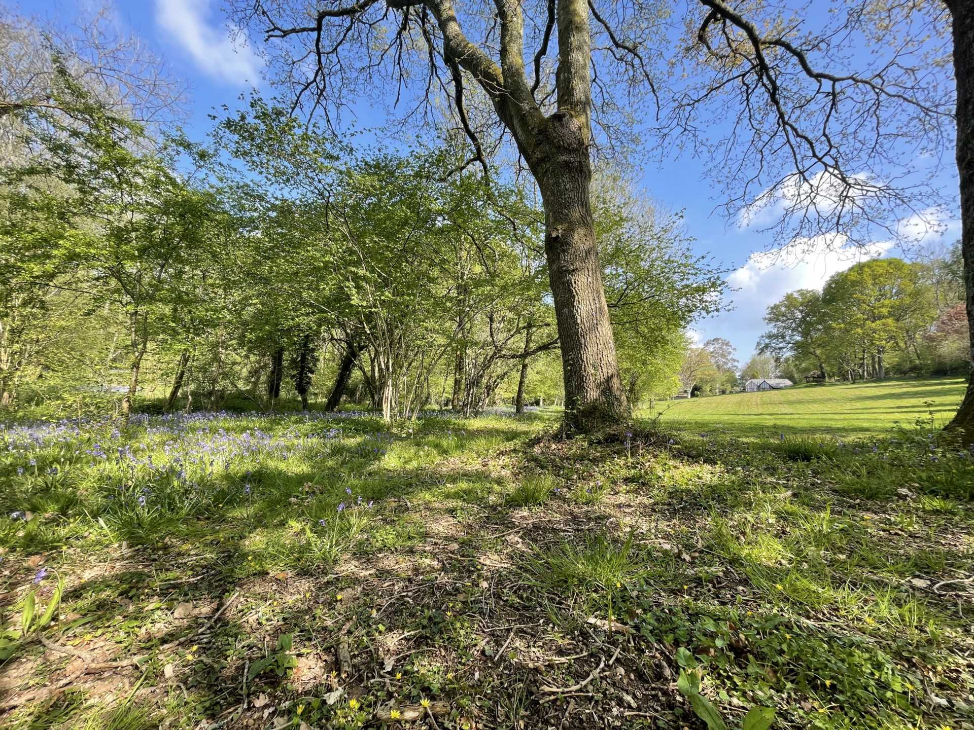 Sandleheath Image 23
