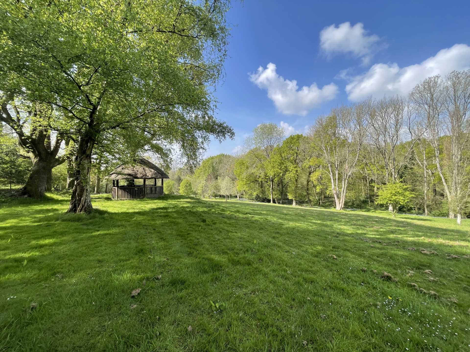 Sandleheath Image 24
