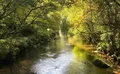Property image gallery