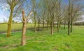 Property image gallery