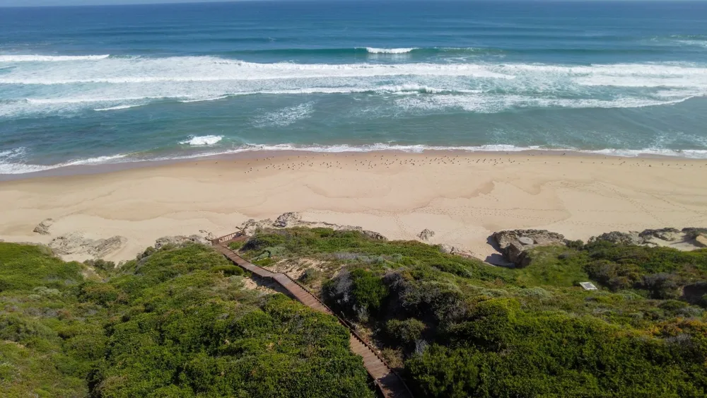 View image gallery of South Africa, Western Cape, Dana Bay, P. Nutans Street, 12