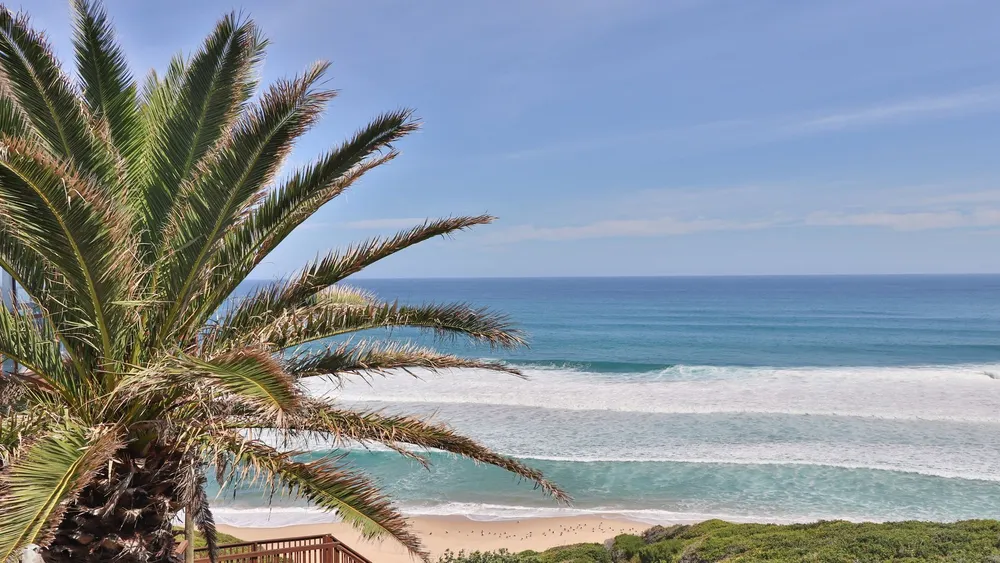South Africa, Western Cape, Dana Bay, P. Nutans Street, 12