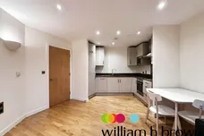 Burgess Springs, City Park West, Chelmsford