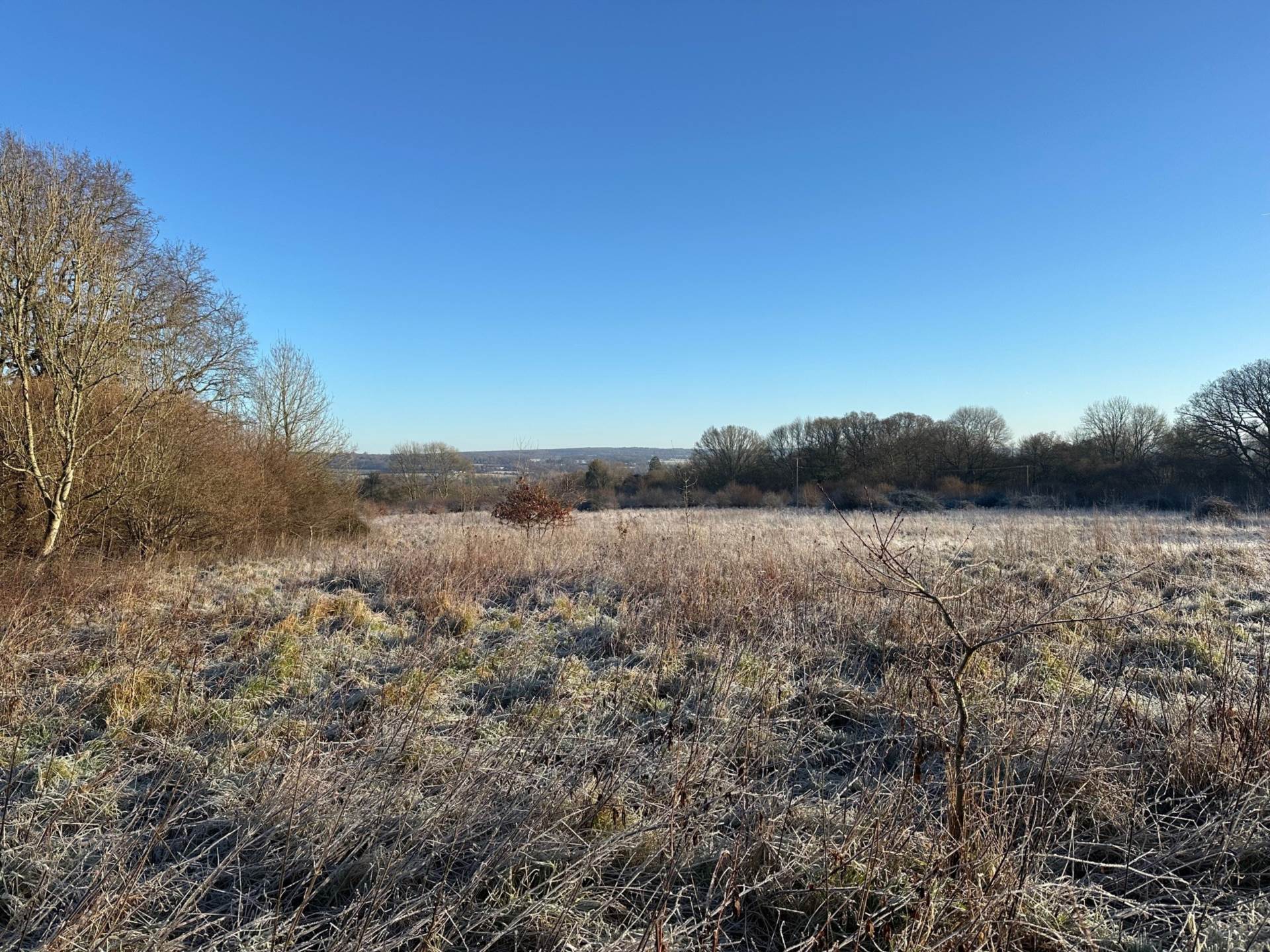 Awbridge, Nr Romsey Image 13