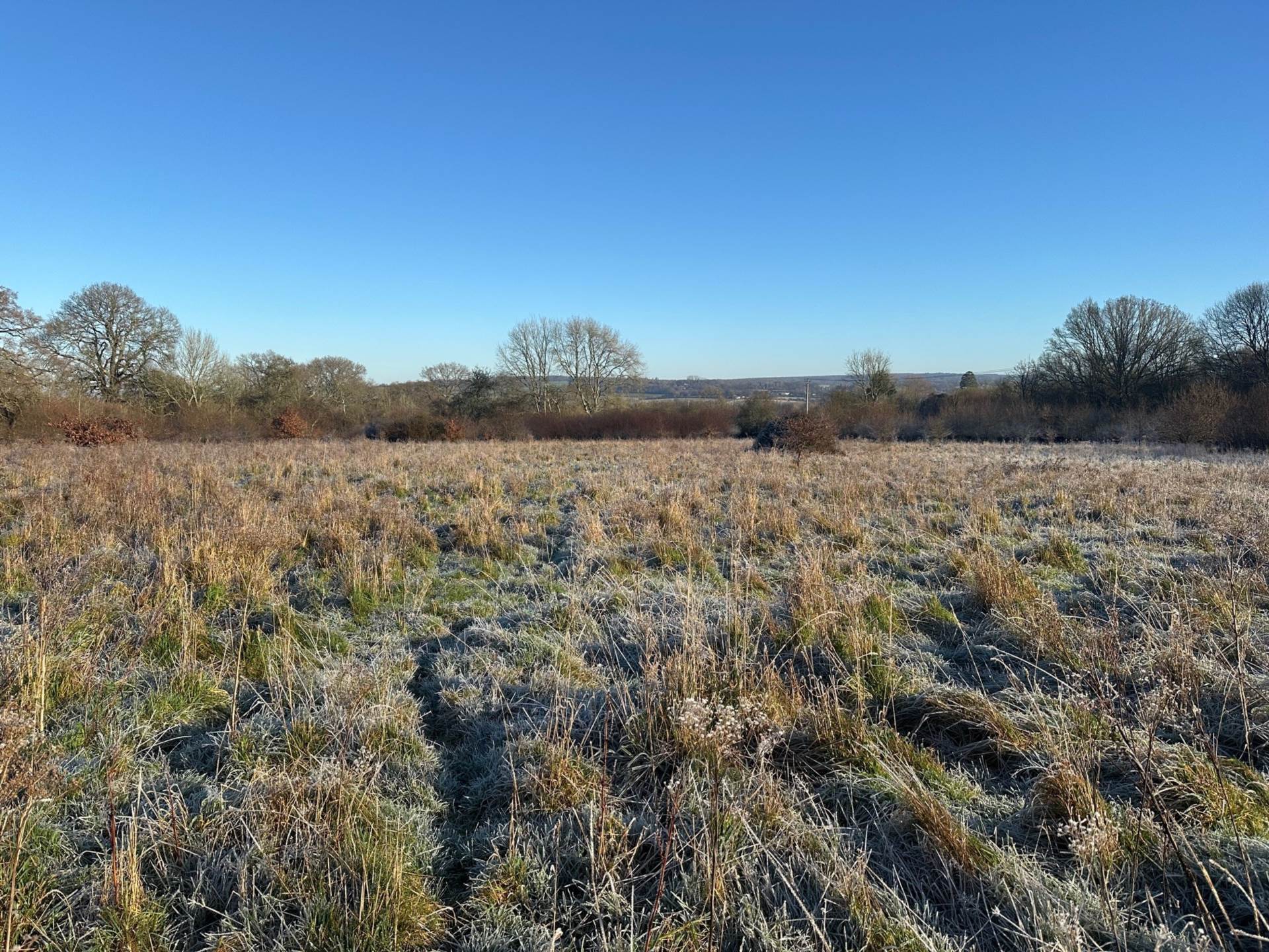 Awbridge, Nr Romsey Image 14