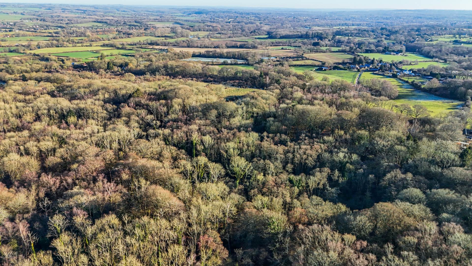 LOT 1 Awbridge, Nr Romsey Image 6