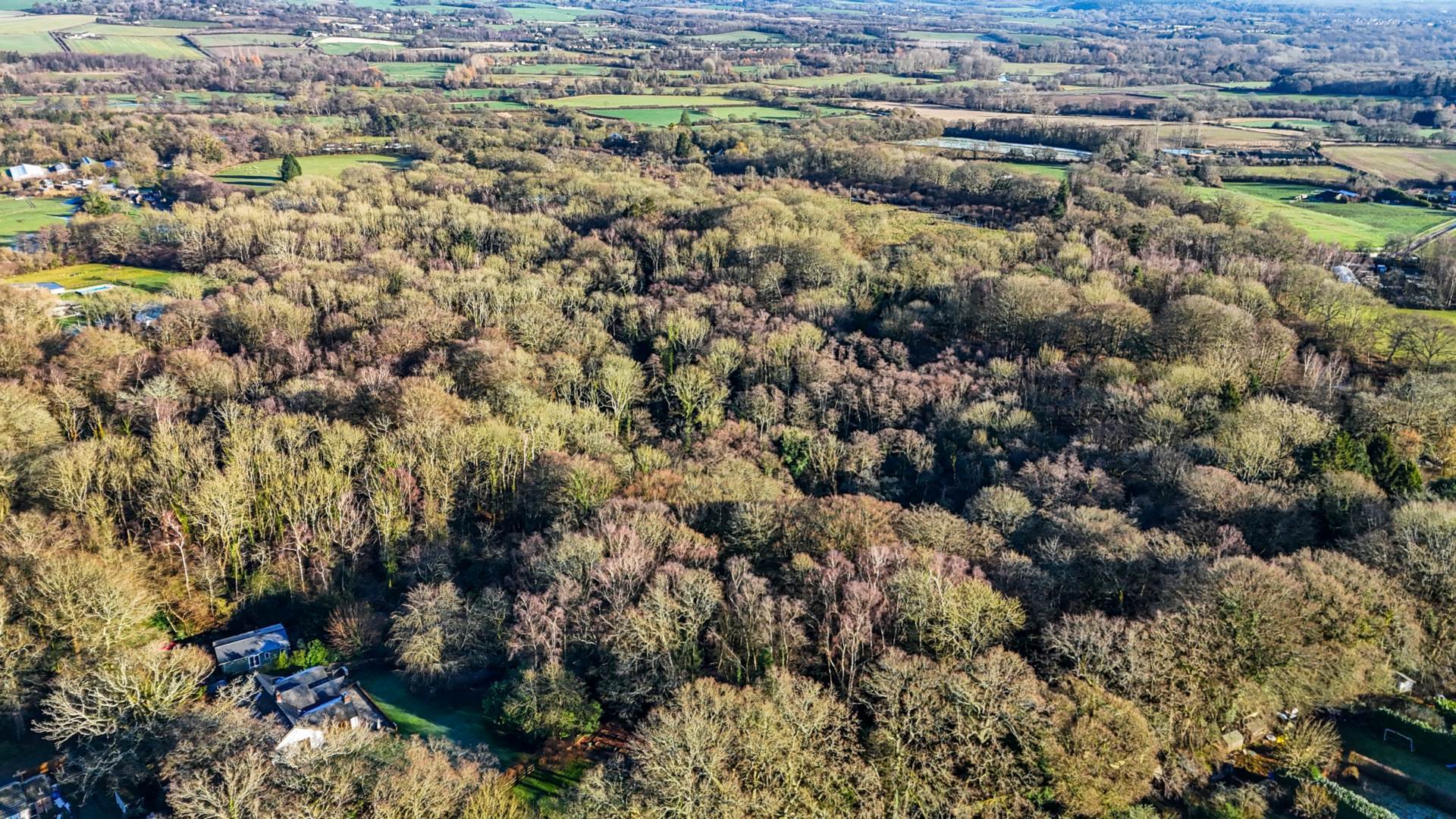 LOT 1 Awbridge, Nr Romsey Image 2
