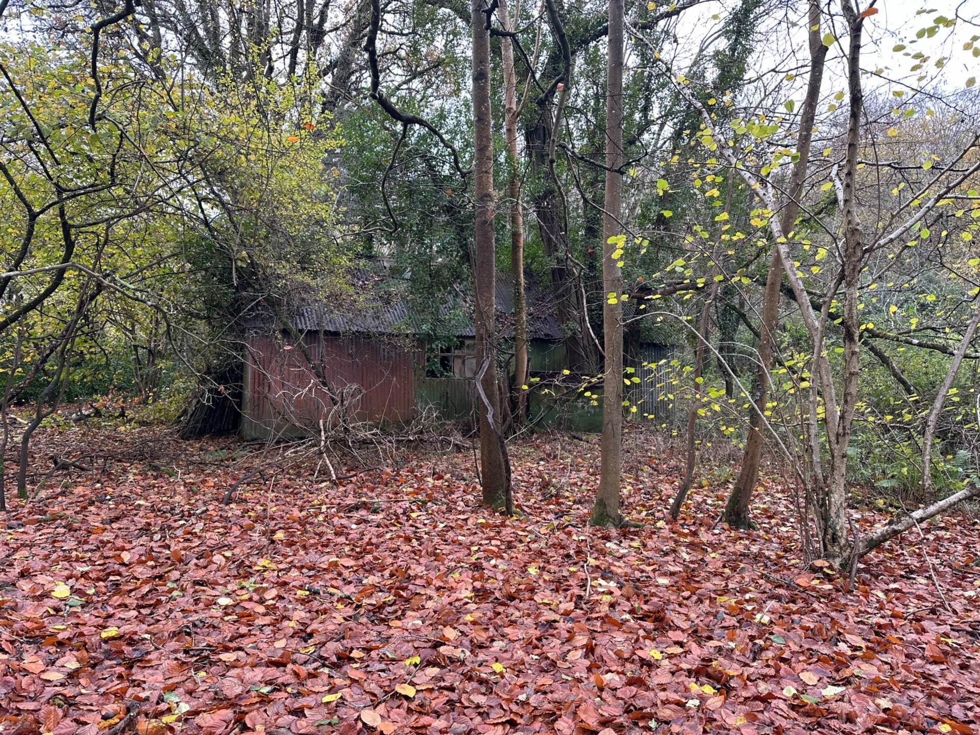 LOT 1 Awbridge, Nr Romsey Image 13