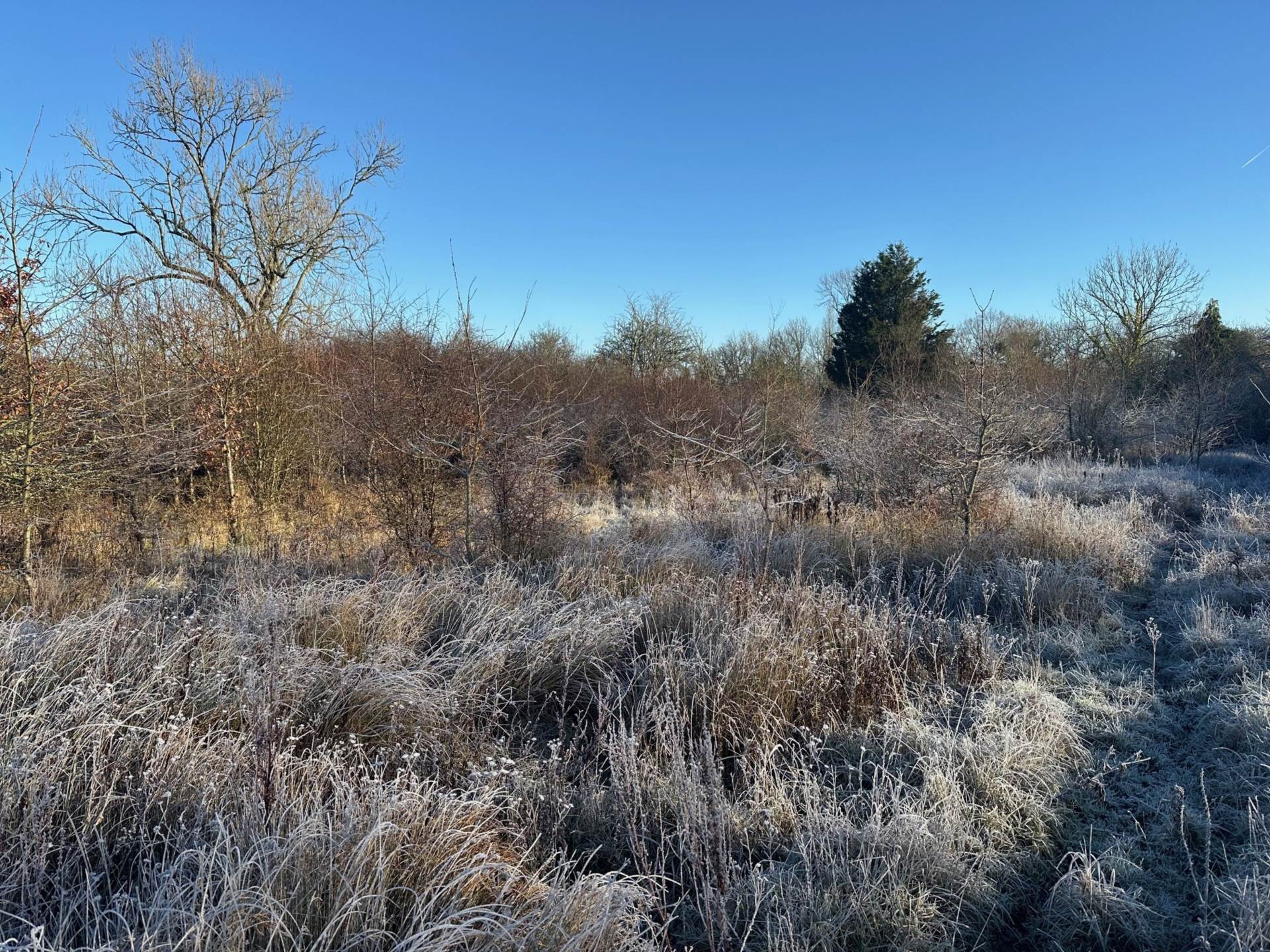 LOT 3 Awbridge, Nr Romsey Image 1