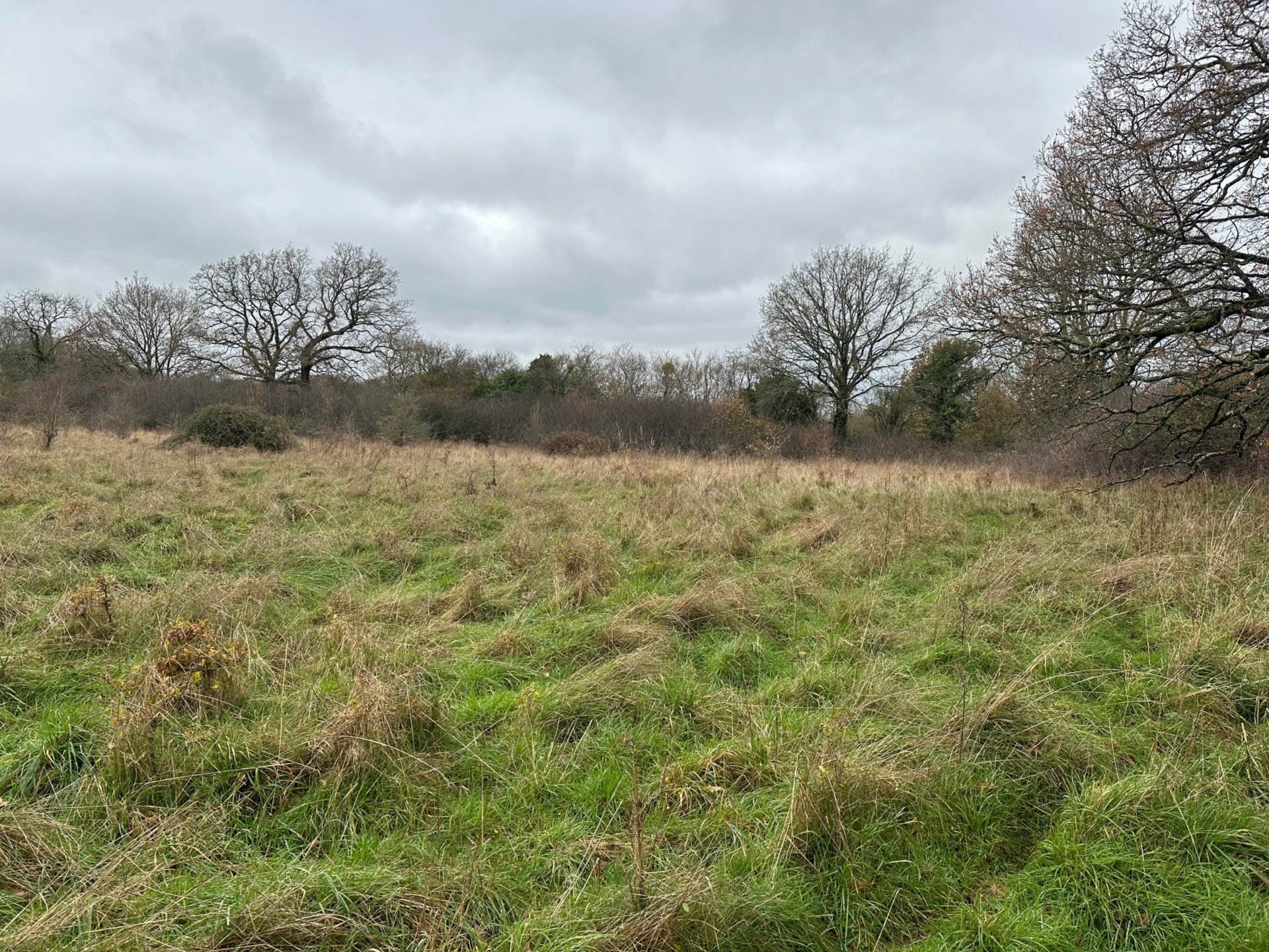 LOT 4a Awbridge, Nr Romsey Image 2