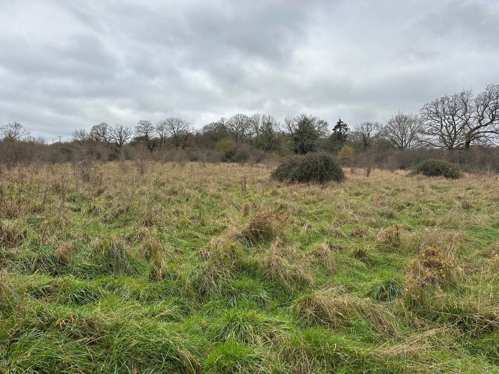 LOT 4a Awbridge, Nr Romsey Image 5