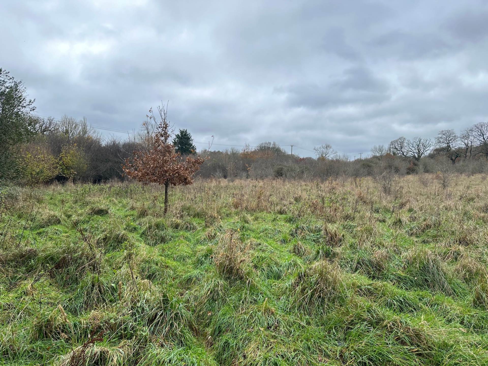 LOT 4a Awbridge, Nr Romsey Image 6