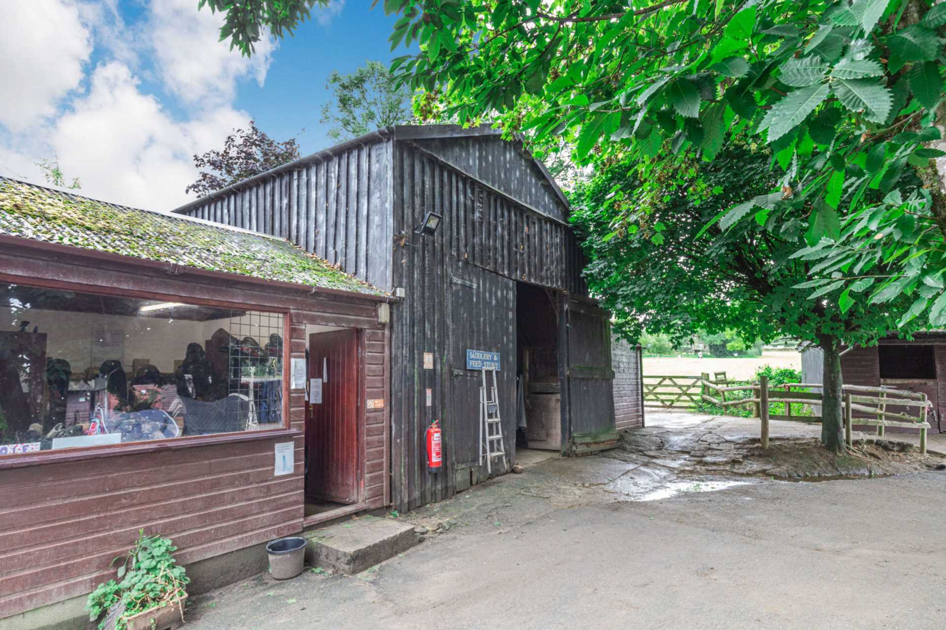 Devon/Cornwall Border - Equestrian 15.3 Acres Image 8