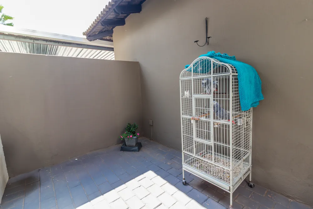 South Africa, North West, Melodie