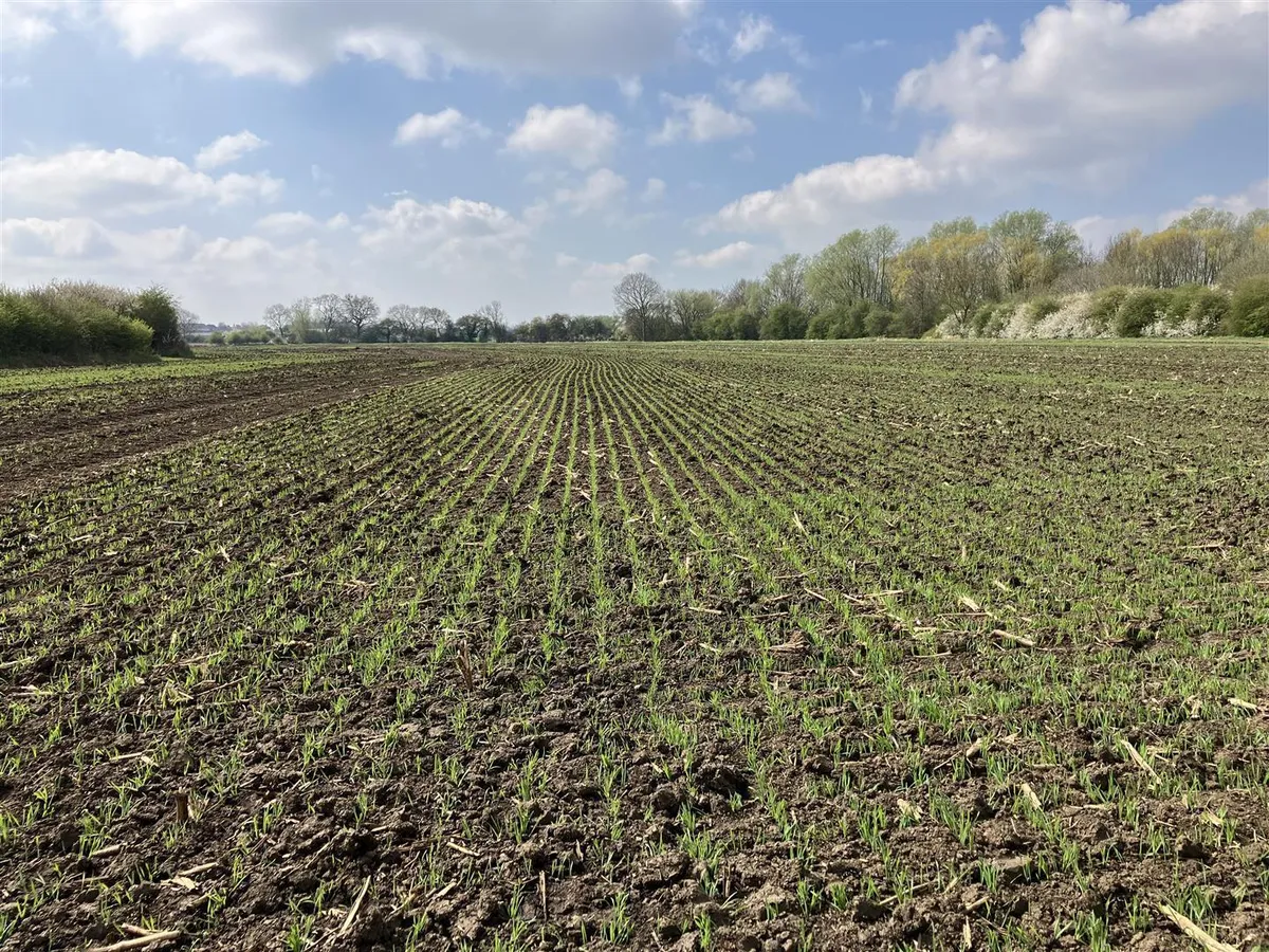 Land at Granby in the Vale of Belvoir