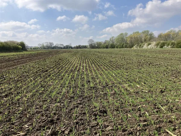 Land at Granby in the Vale of Belvoir
