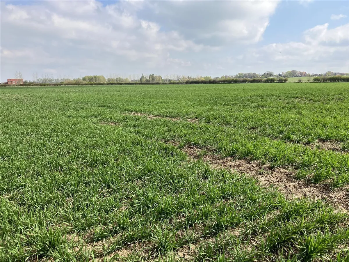 Land at Granby in the Vale of Belvoir