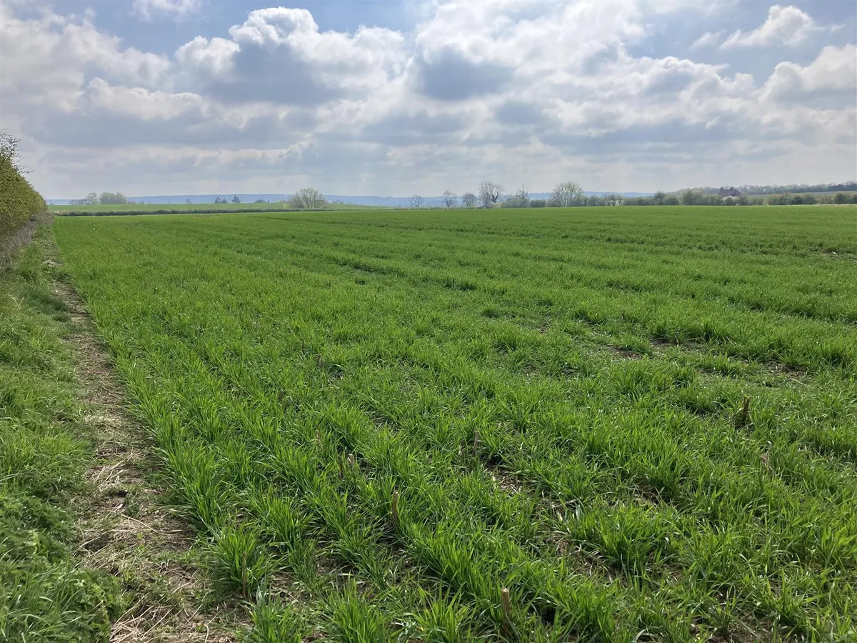 Land at Granby in the Vale of Belvoir