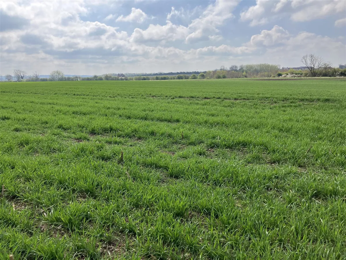 Land at Granby in the Vale of Belvoir