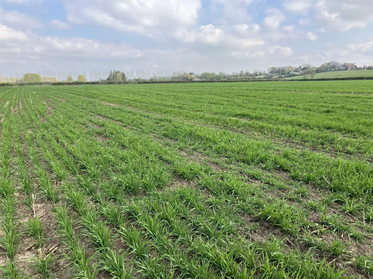 Land at Granby in the Vale of Belvoir