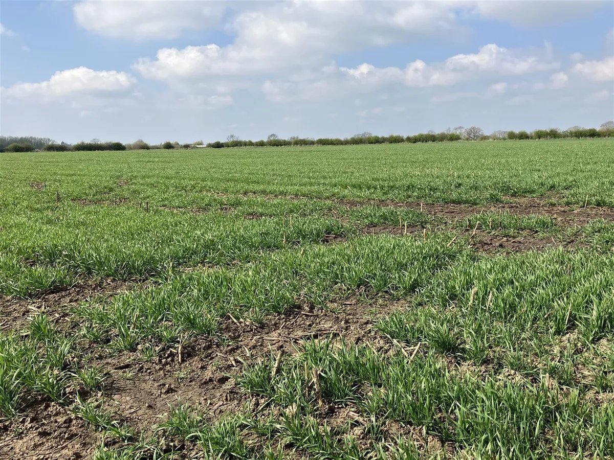 Land at Granby in the Vale of Belvoir